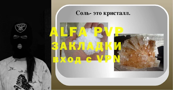 молекула духа Бородино
