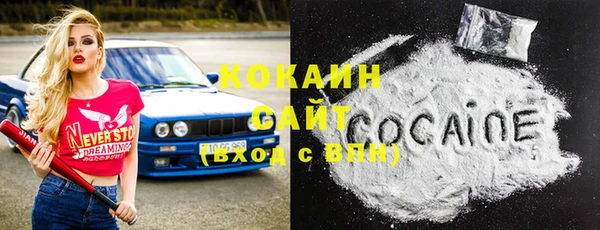 молекула духа Бородино