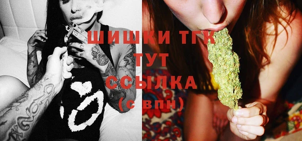 молекула духа Бородино