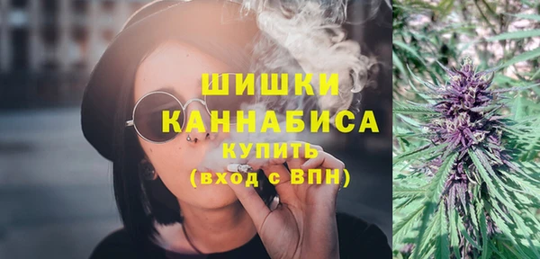 молекула духа Бородино