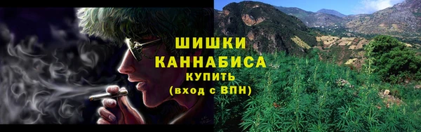 молекула духа Бородино
